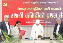 विद्यादेवी भण्डारीले एमालेको वरिष्ठ नेता पदको शपथ लिइन